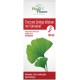 Tinctura Ginkgo bilobae Phytopharm Płyn doustny 100 ml