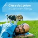 Claritine Allergy Tabletki 7 sztuk