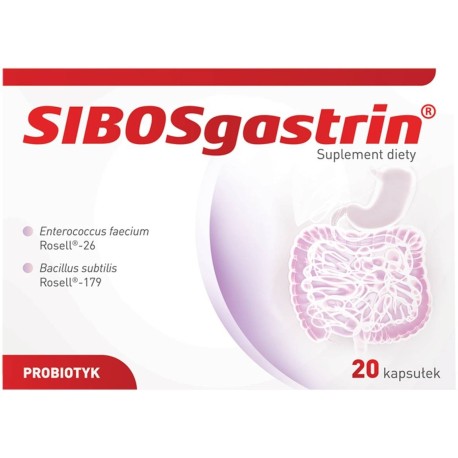 Sibosgastrin Suplement diety 11 g (20 sztuk)