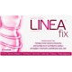 Linea Fix Herbatka ziołowa Suplement diety 40 g (20 x 2 g)