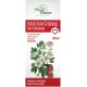 Intractum Crataegi Phytopharm Płyn doustny 100 ml